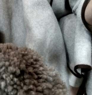 50715927_556978928115976_253186797385809920_n