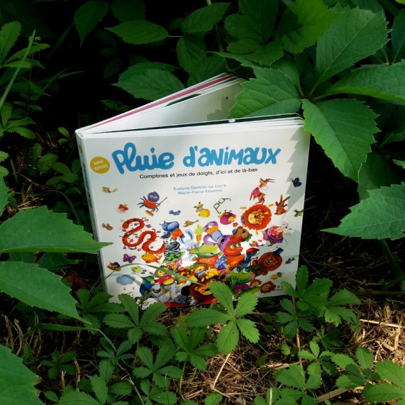 20190716_164208_réduite